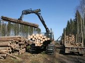 Лесопромышленное предприятие – Туринский леспромхоз, 35 млн.руб.