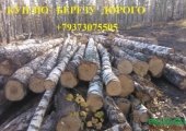 Кругляк березы от лесхозов по Башкортостану