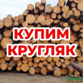 Покупаем Круглый лес / Лесоматериалы / Пиловочник
