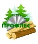 ПРОФЛЕС