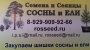 Семенова И.В.