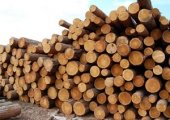 Продаю пиловочник хвоя сосна, ель