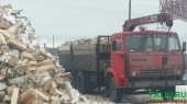 ПАО "СППЖТ" реализует дрова березовые колотые.