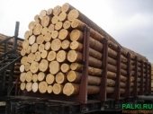 Продам ООО с квотами на экспорт круглого леса