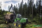 Услуги по заготовке леса