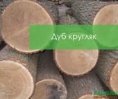 Покупаем дуб пиловочник (кругляк) Башкирия.