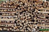 Колотые дрова высокого качества для вашего дома!