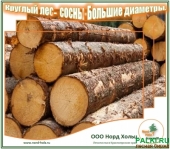 Сосновые бревна