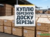 Покупаю берёзовую обрезную доску