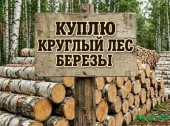 Покупаю берёзовый кругляк