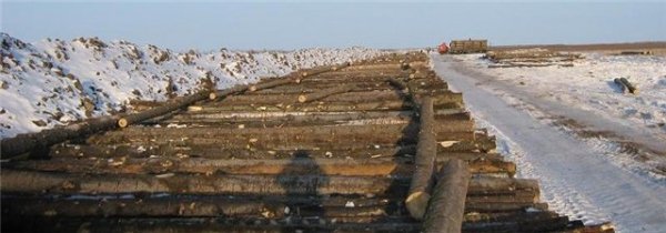 Закупаем баланс осиновый на лежнёвую дорогу