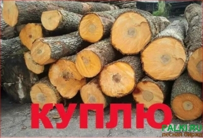 Кругляк ольхи