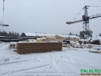 Оцилиндрованное бревно оптом напрямую от производителя г. Санкт-Петербург