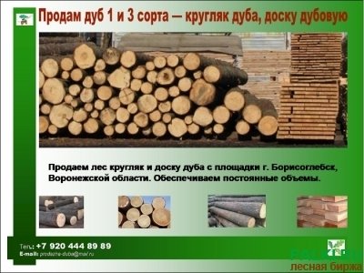 Продам дуб 1 и 3 сорта — кругляк дуба