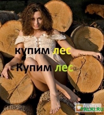 Куплю дуб