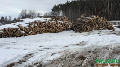 Доска обрезная хвоя ель сосна У.Р. Можга