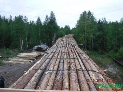 Вагонами балансы хвойных пород