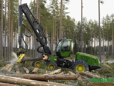 Кругляк пиловочник из сосны