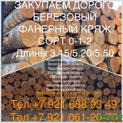 Закупаем березу кругляк для шпона (Китай)