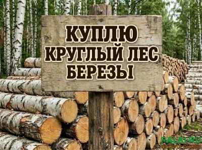 Покупаю берёзовый кругляк