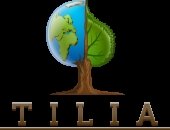 Tilia