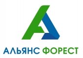 Альянс Форест СПб