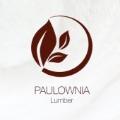 PAULOWNIA Lumber