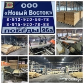 НОВЫЙ ВОСТОК