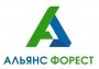 Альянс Форест СПб