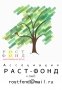 ОБЪЕДИНЕНИЕ ЛЕСОПРОМЫШЛЕННЫХ ПРЕДПРИЯТИЙ АССОЦИАЦИЯ РАСТ-ФОНД