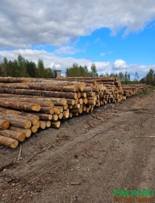 Продам обрезную доску Сухостой